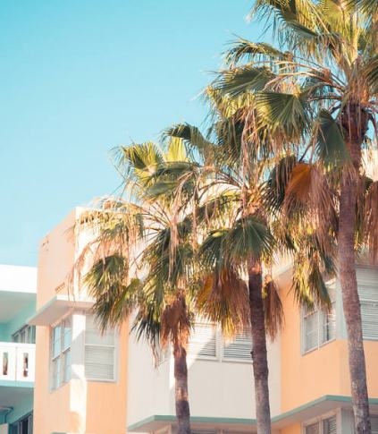 Tunisie 1